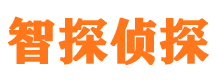 中阳市调查公司